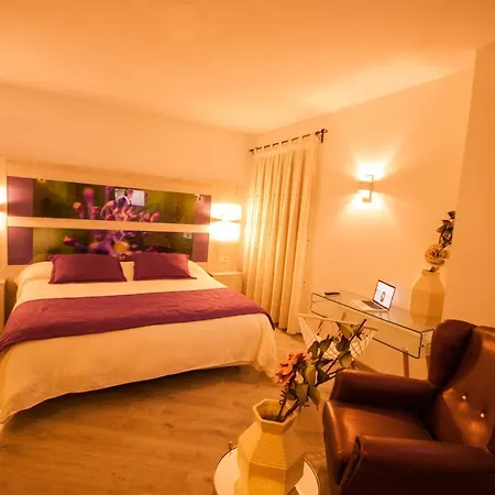 Hotel Hc Zoom 3*